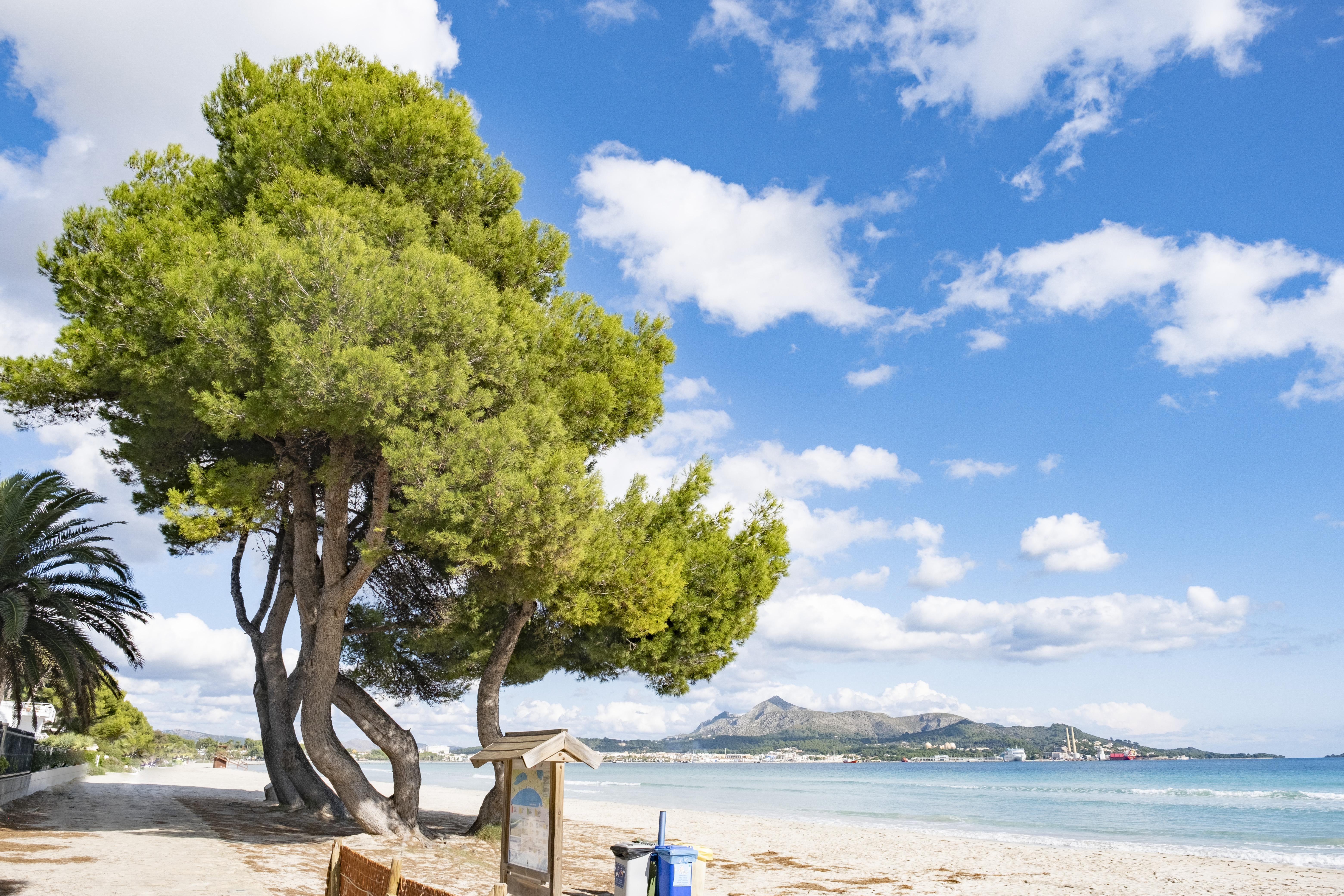 Eix Platja Daurada Hotel & Spa Can Picafort  Exterior photo